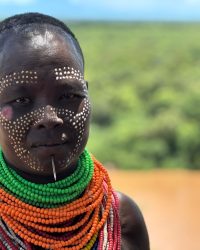 WhatsApp Image 2026-03-04 at 12.05.19 PM