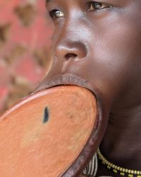 WhatsApp Image 2026-03-04 at 12.05.27 PM